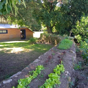 Salades sur le muret