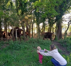 Vache-Enfant