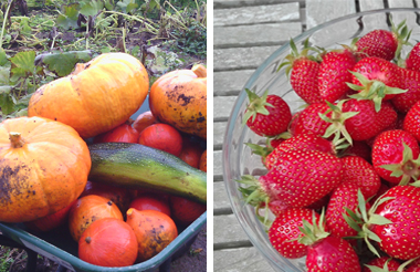 fruits et légumes bio